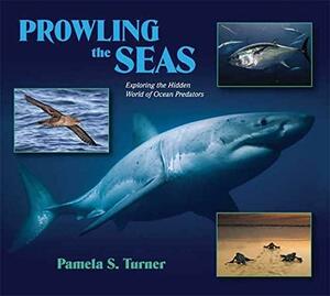 Prowling the Seas: Exploring the Hidden World of Ocean Predators by Pamela S. Turner