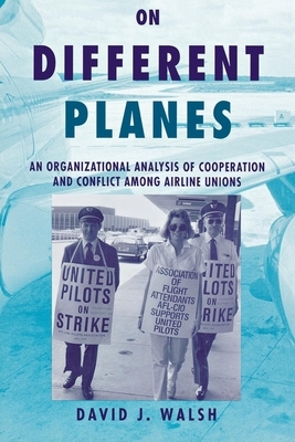 On Different Planes by David Walsh