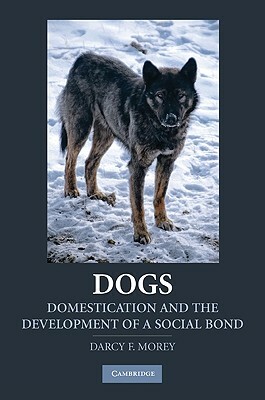 Dogs: Domestication and the Development of a Social Bond by Darcy F. Morey
