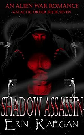 Shadow Assassin by Erin Raegan