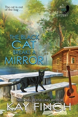 The Black Cat Breaks a Mirror by Kay Finch