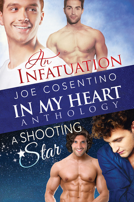 In My Heart - An Infatuation & a Shooting Star by Joe Cosentino