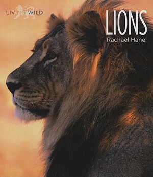 Lions by Rachael Hanel