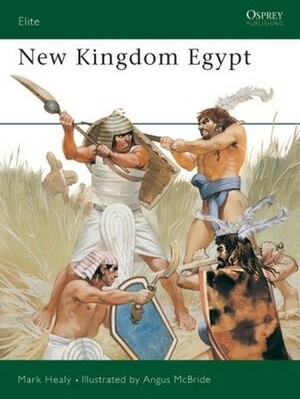 New Kingdom Egypt by Mark Healy