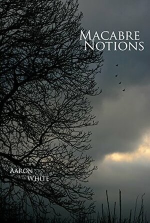 Macabre Notions by Aaron White