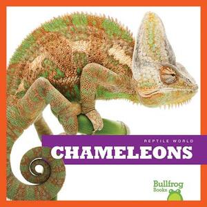 Chameleons by Cari Meister