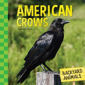 American Crows by Kristin Petrie