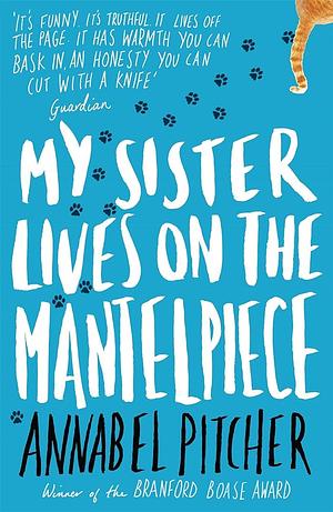 My sister lives on the mantelpiece by Annabelle pitcher