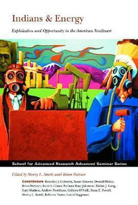 Indians and Energy: Exploitation and Opportunity in the American Southwest by Colleen O'Neill, Leah S. Glaser, Gary Madsen, Sherry L. Smith, Susan Dawson, Rebecca Tsosie, Dailan J. Long, Dana E. Powell, Garrit Voggesser, Andrew Needham, Benedict J. Colombi