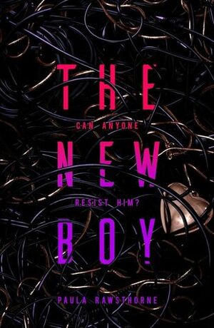 The New Boy by Paula Rawsthorne