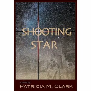 Shooting Star by Patricia M. Clark