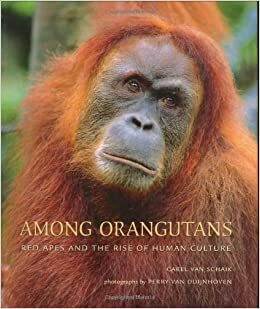 Among Orangutans: Red Apes and the Rise of Human Culture by Perry Van Duijnhoven, Carel van Schaik