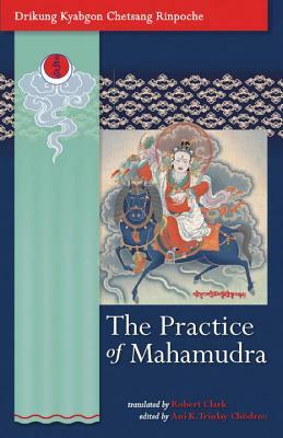 The Practice of Mahamudra: The Teachings of His Holiness, the Drikung Kyabgon, Chetsang Rinpoche by Drikung Kyabgon Chetsang