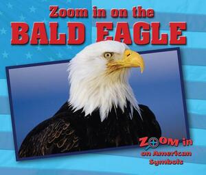 Zoom in on the Bald Eagle by Heather Moore Niver