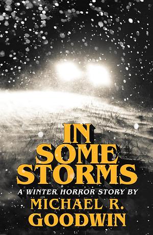 In Some Storms by Michael R. Goodwin
