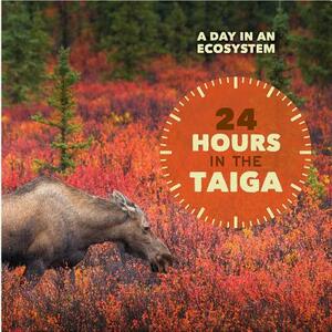 24 Hours in the Taiga by Alicia Klepeis