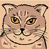hattivatt's profile picture