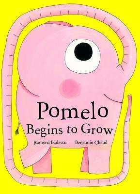 Pomelo Begins to Grow by Ramona Bădescu