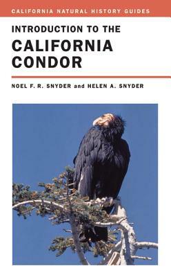 Introduction to the California Condor, Volume 81 by Noel Snyder, Helen Snyder