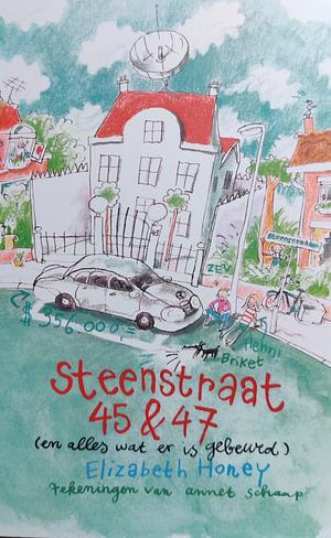 Steenstraat 45+ 47: (en alles wat er is gebeurd) by Annet Schaap, Elizabeth Honey, Sabine Mutsaers