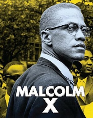 Malcolm X (American Biographies) by Gail Fay