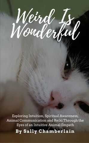 Weird Is Wonderful by Sally Chamberlain