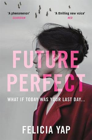 Future Perfect: The Most Exciting High-Concept Novel of the Year by Felicia Yap