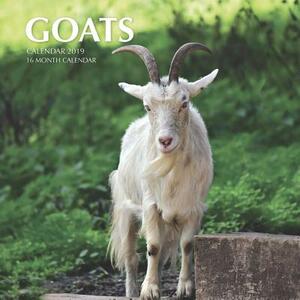 Goats Calendar 2019: 16 Month Calendar by Mason Landon