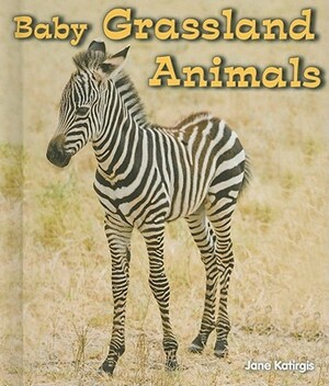 Baby Grassland Animals by Jane Katirgis