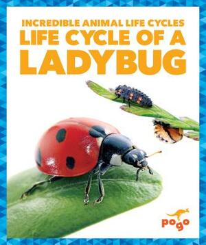 Life Cycle of a Ladybug by Karen Latchana Kenney