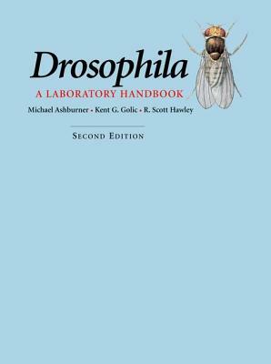 Drosophila: A Laboratory Handbook by Michael Ashburner, Kent Golic, R. Scott Hawley