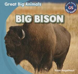 Big Bison by Ryan Nagelhout