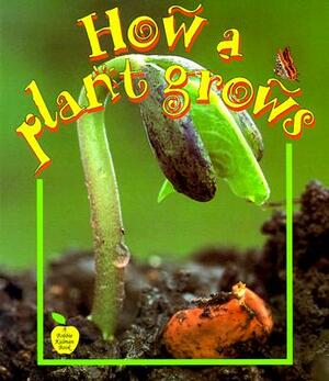 How a Plant Grows by Bobbie Kalman