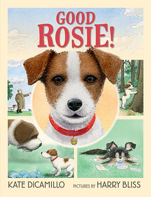 Good Rosie!: by Harry Bliss, Kate DiCamillo
