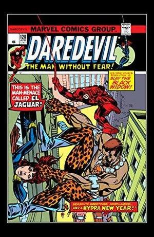 Daredevil (1964-1998) #120 by Tony Isabella
