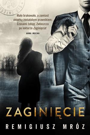 Zaginięcie by Remigiusz Mróz