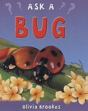 Ask a Bug by Olivia Brookes