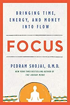 Focus: Bringing Time, Energy, and Money into Flow by Pedram Shojai