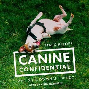 Canine Confidential: Why Dogs Do What They Do by Marc Bekoff