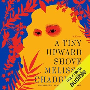 A Tiny Upward Shove: A Novel by Melissa Chadburn