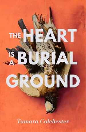 The Heart Is a Burial Ground by Tamara Colchester