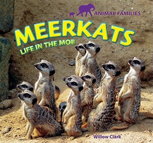 Meerkats: Life in the Mob by Willow Clark