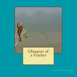 Glimpses of a Feather by Jean Williams