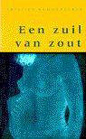 Een zuil van zout by Kristien Hemmerechts