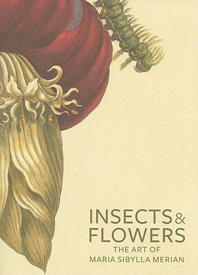Insects and Flowers: The Art of Maria Sibylla Merian by David Brafman, Stephanie Schrader, Maria Sibylla Merian
