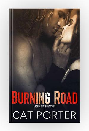 Burning Road by Cat Porter