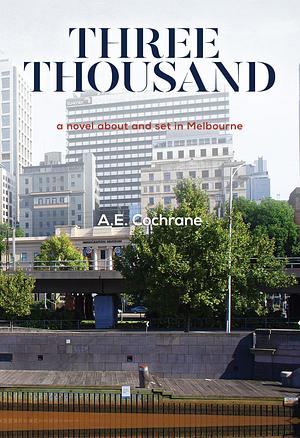 Three Thousand by Allan Cochrane