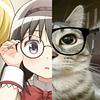 yanflan's profile picture