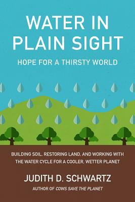 Water in Plain Sight: Hope for a Thirsty World by Judith D. Schwartz