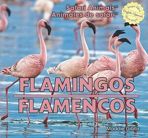 Flamingos/Flamencos by Maddie Gibbs